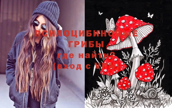 прущий лед Белоозёрский